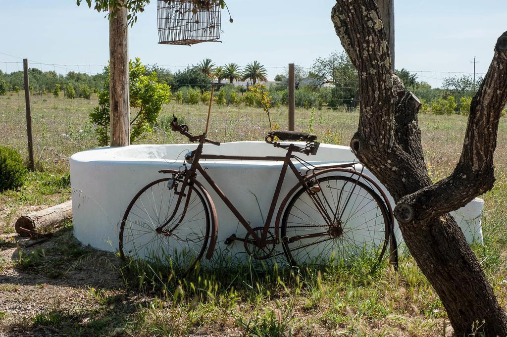 カバナス・デ・タビラ Pensao Agricolaゲストハウス エクステリア 写真