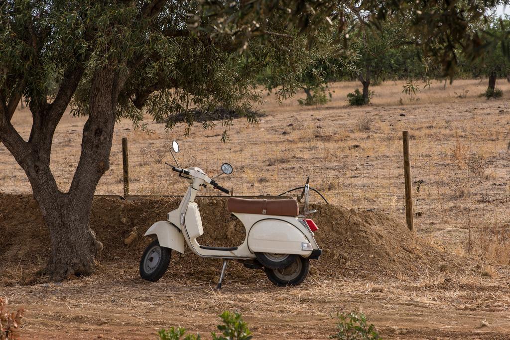カバナス・デ・タビラ Pensao Agricolaゲストハウス エクステリア 写真